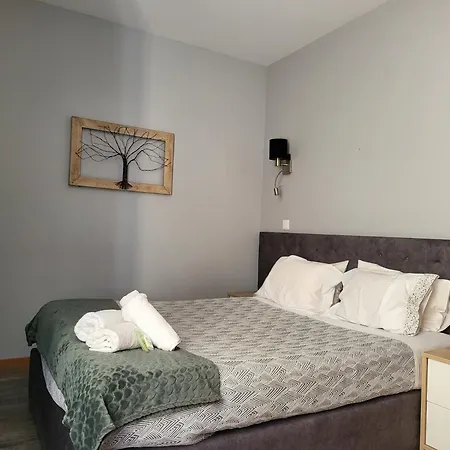 Leao De Ouro 마토지뉴스