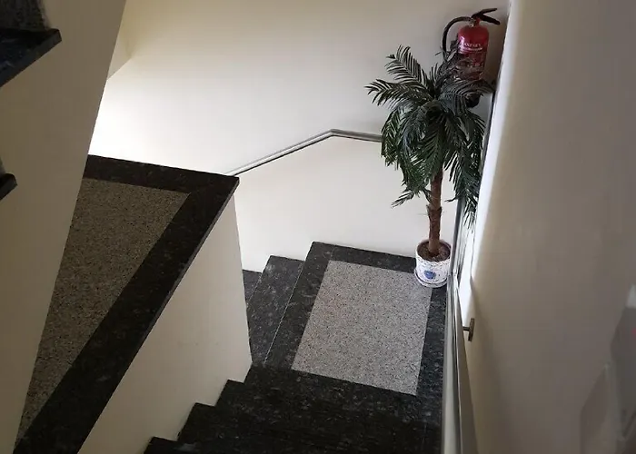 Leao De Ouro Matosinhos (Porto)