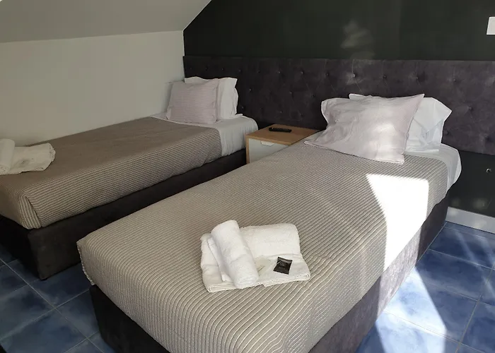 Leao De Ouro 마토지뉴스