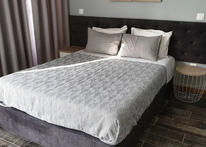 Guest house Leao De Ouro 3*